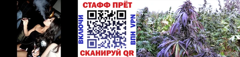 Купить Кокаин Псилоцибиновые грибы Alpha-PVP Конопля Гашиш МЕТАДОН МЕФ Нефтекумск