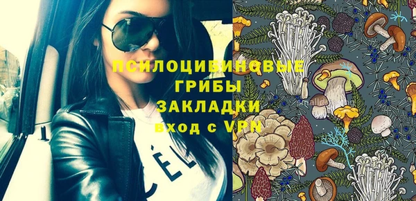 дурь Дмитриев