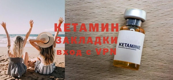 амф Гусев