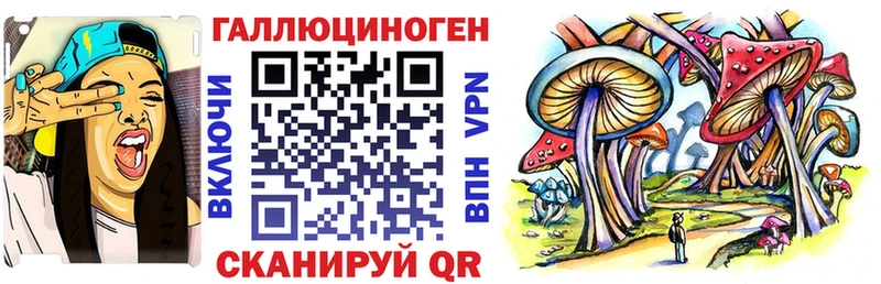 Галлюциногенные грибы GOLDEN TEACHER  Купить  Нефтекумск 